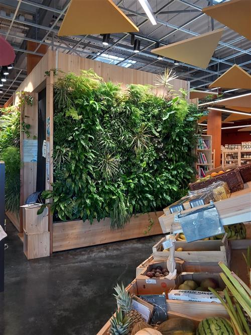 Photos du magasin