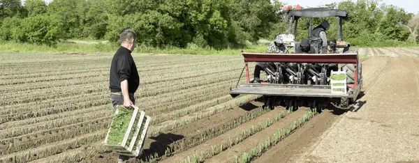 Terres de Guérande, ensemble pour la bio ! Terres de Guérande, ensemble pour la bio !
