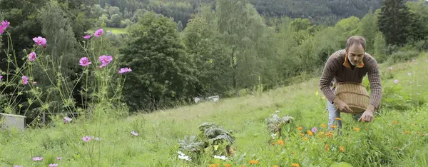 Autour de Colmar, une bio florissante Autour de Colmar, une bio florissante